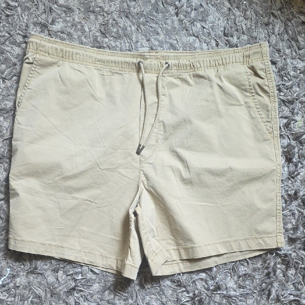 American Eagle Mens Shorts Sz XL